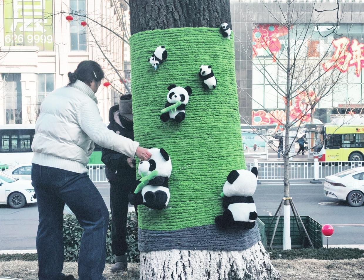 广场变身童话打卡地  树上“长”出了漫画世界