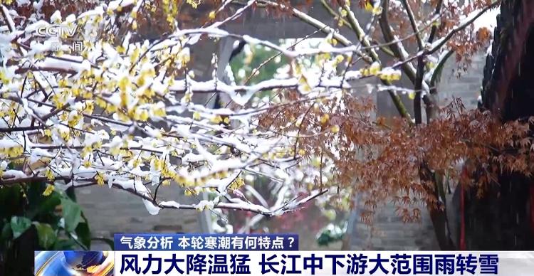 什么是“烂暴雪” 这轮寒潮有何特点