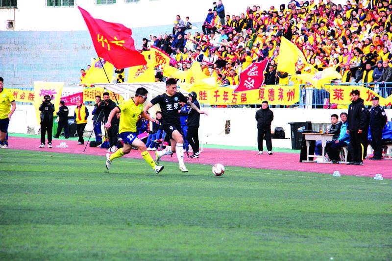 开局“十五五” 奋斗正当时|透过三组数字看烟台体育的2026