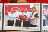 新春走基层|一票选大事 村庄的“小评选”藏着乡村振兴“大密码”