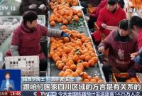 “pápá柑”还是“bābā柑”，都错了？