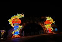 2026烟台植物园迎新春大型灯会推荐观景地、优先打卡点