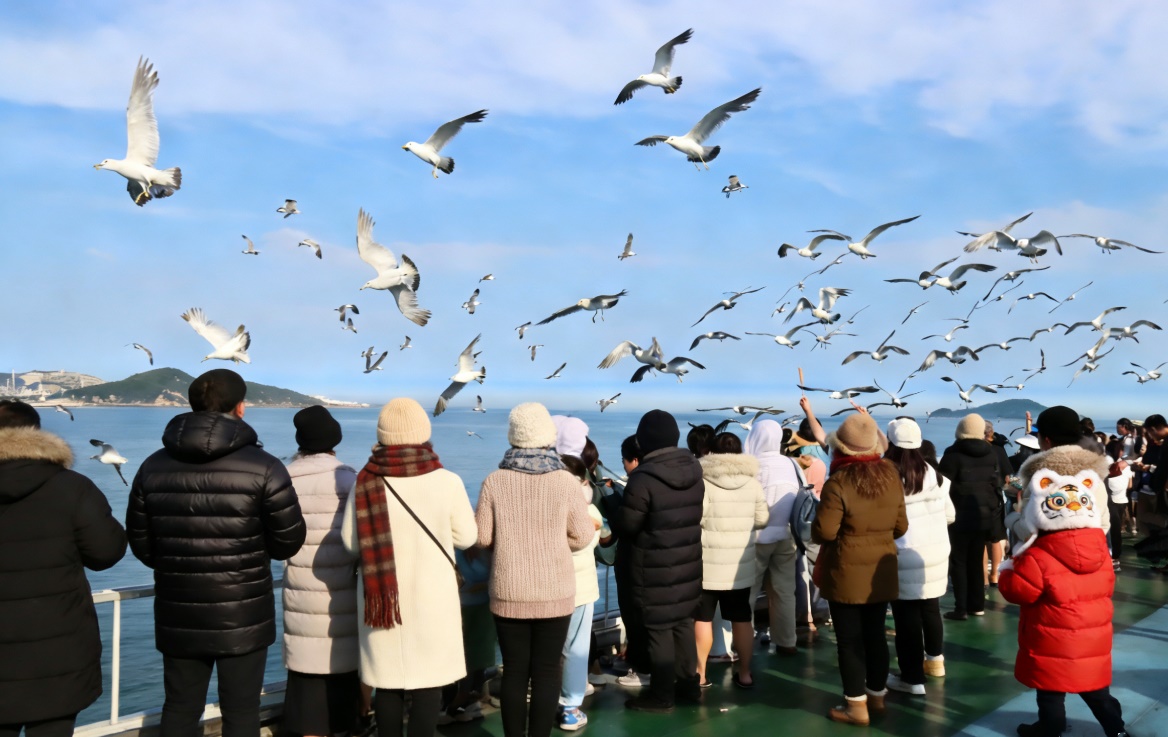 渤海轮渡过大年 一路喜庆共团圆