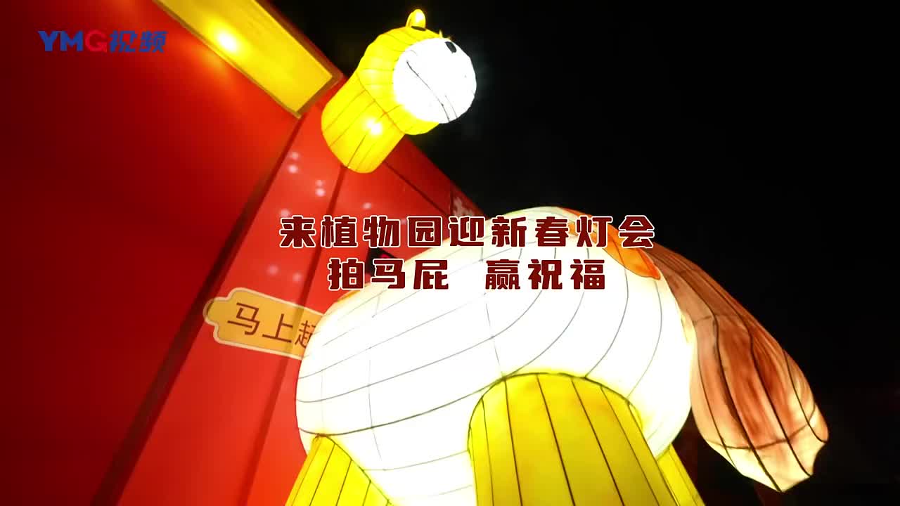 听说烟台人都来烟台植物园迎新春灯会“拍马屁”了？