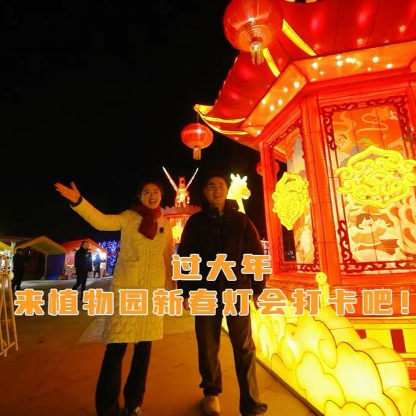 在烟台过大年，快来烟台植物园迎新春灯会打卡吧