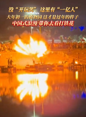 2月17日，烟台植物园 @你的好朋友带你去看打铁花！