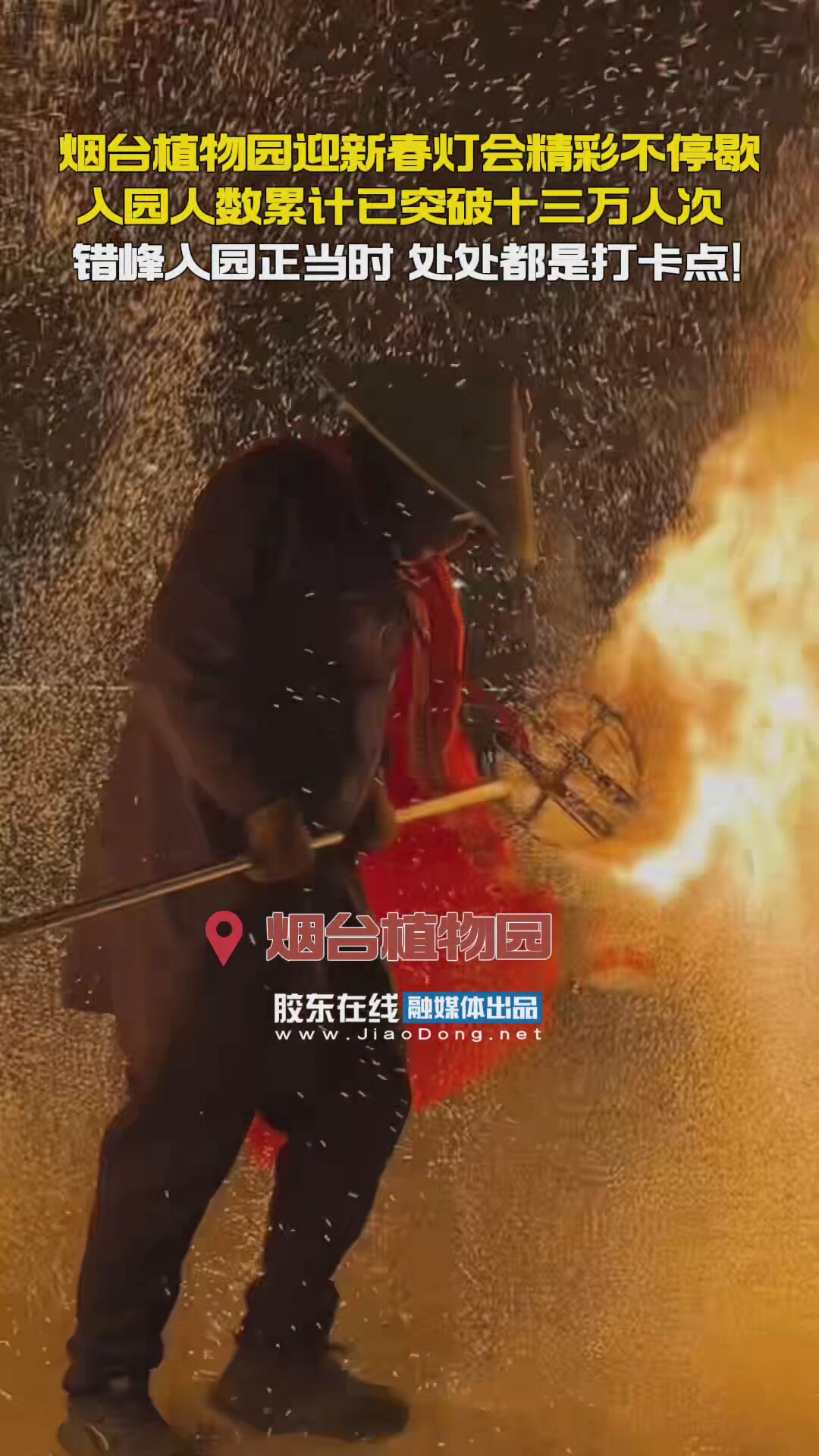 烟台植物园迎新春灯会入园人数累计突破十三万人次