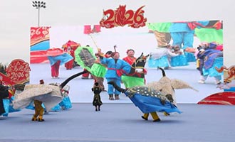 栖霞市省级非遗项目“鹌子斗鳖”亮相2026“百花汇海”山东秧歌会