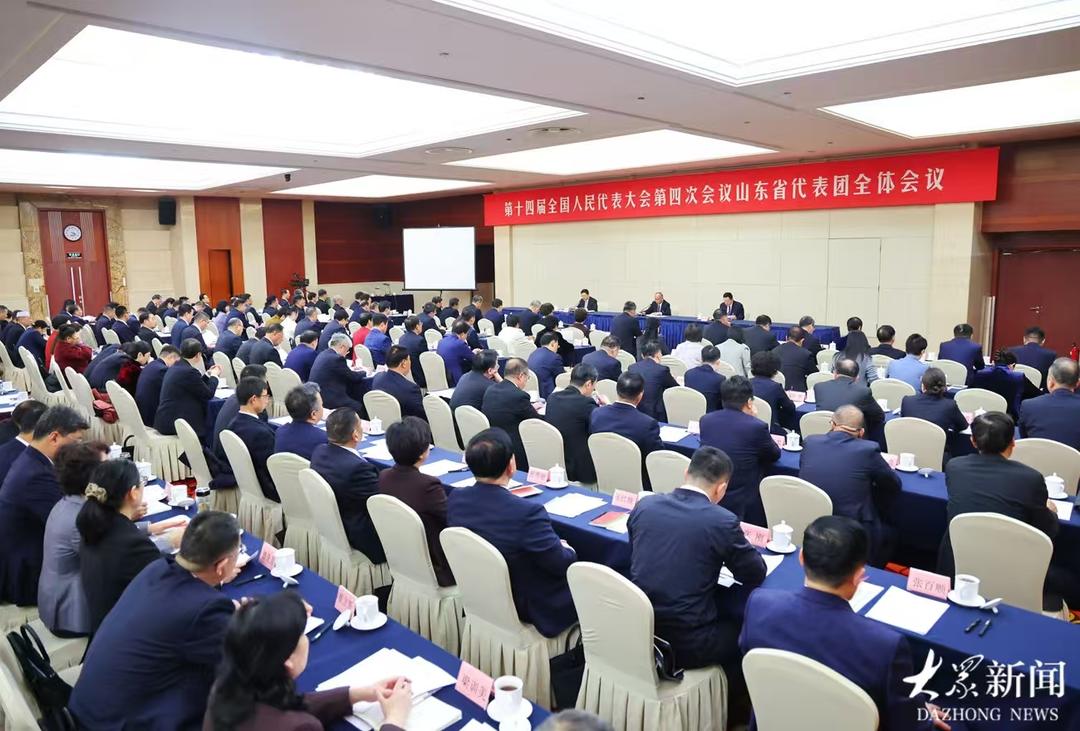 十四届全国人大四次会议山东省代表团成立 推选林武为团长