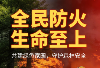 海报|全民防火 生命至上