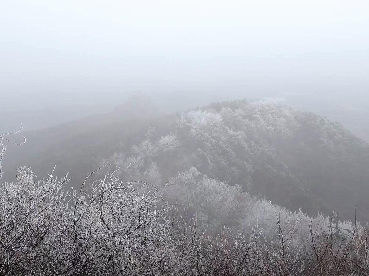 牟平岿山雾凇惊艳上线