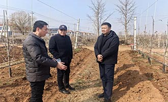 中国苹果产业协会来栖霞市调研