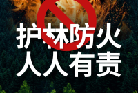 海报|护林防火，人人有责