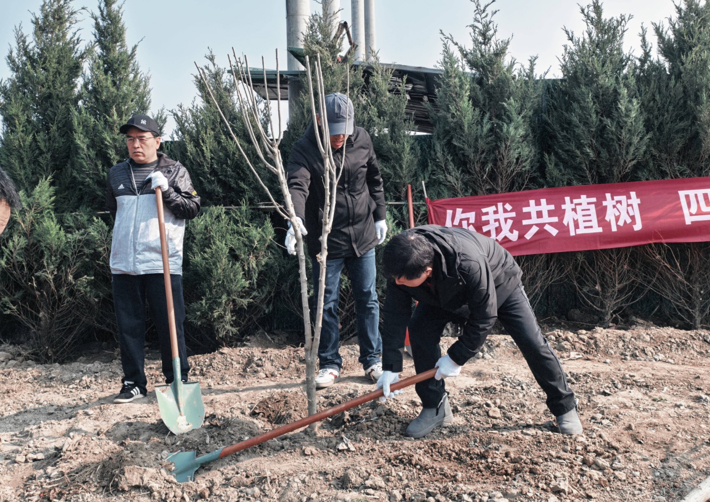 海岸线上再添绿！烟台市城管局联合志愿者义务植树
