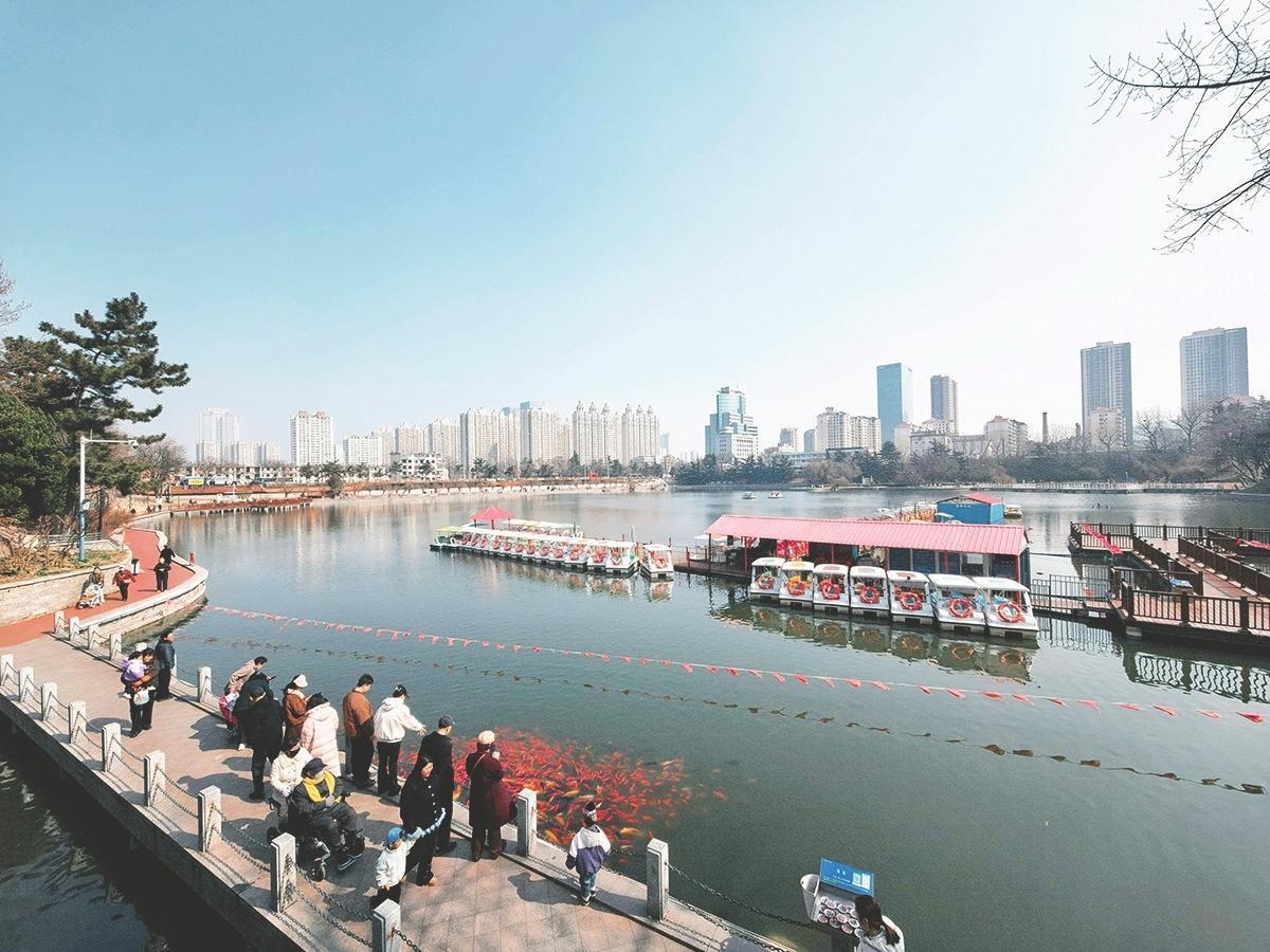南山公园又“变身” 城市客厅添新景