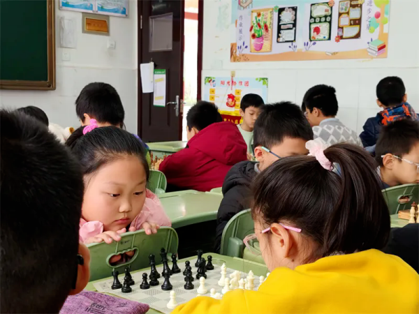 2026年龙口市棋类比赛圆满落幕