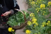 今年吃“野菜”第一批中招的人出现了！专家提醒→