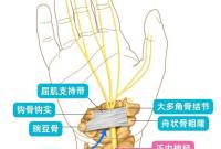 手腕经常又麻又酸？当心“鼠标手”找上门 这3个信号要警惕