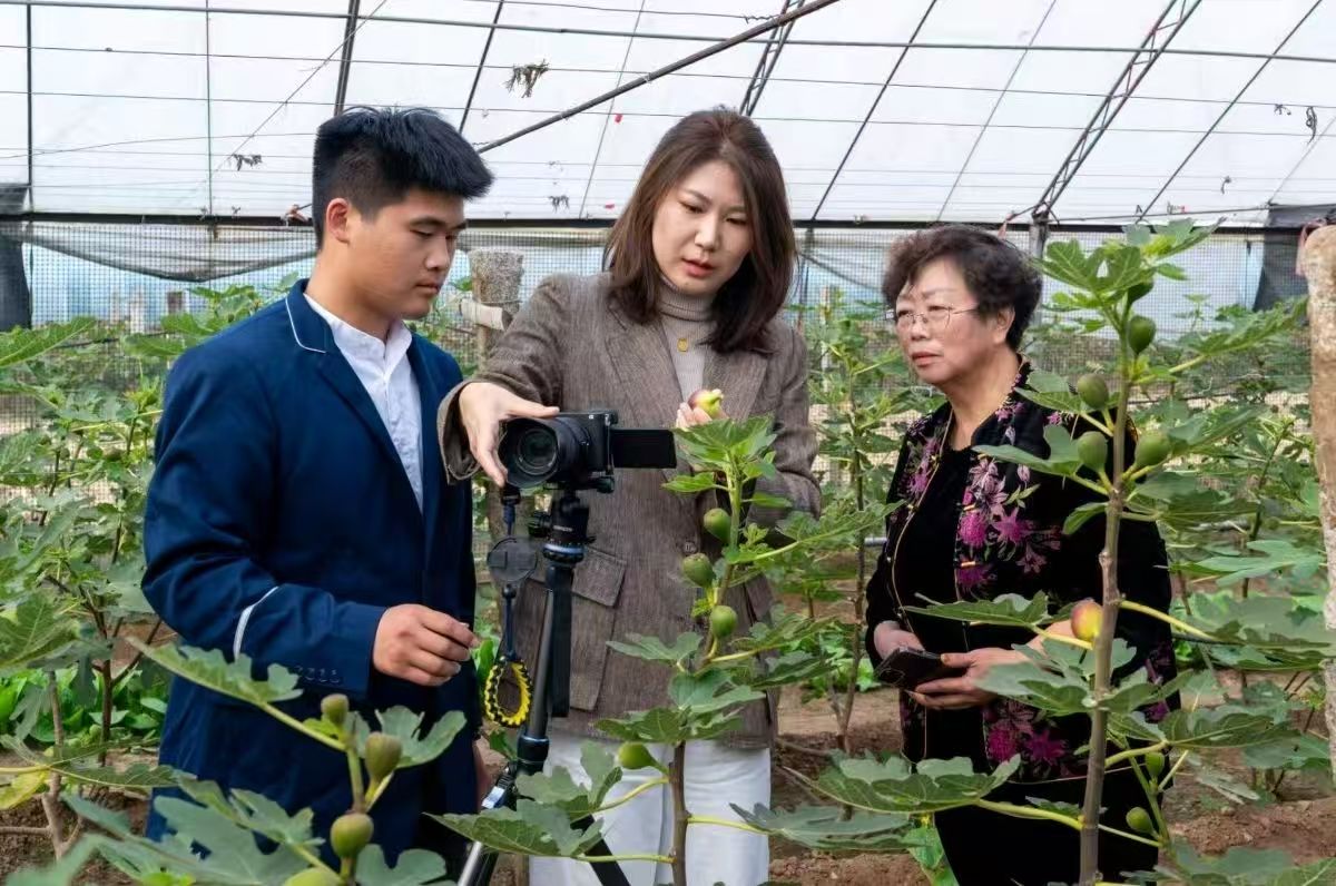 烟台文化旅游职业学院将课堂搬进田间，育训移至地头——