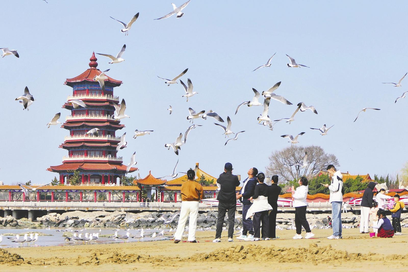 图片新闻|沙鸥翔集八仙渡