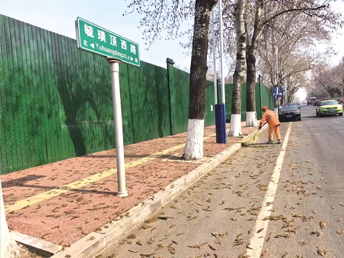 环卫工人清理“毛大嫂” 确保道路干净、整洁