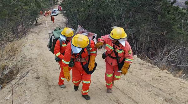 清明·山知道|230双“铁脚板”硬核守护12万亩山峦