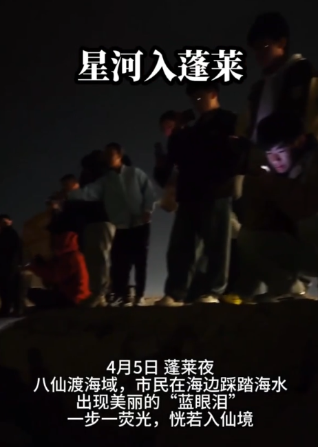 蓬莱八仙渡景区海域现“蓝眼泪”