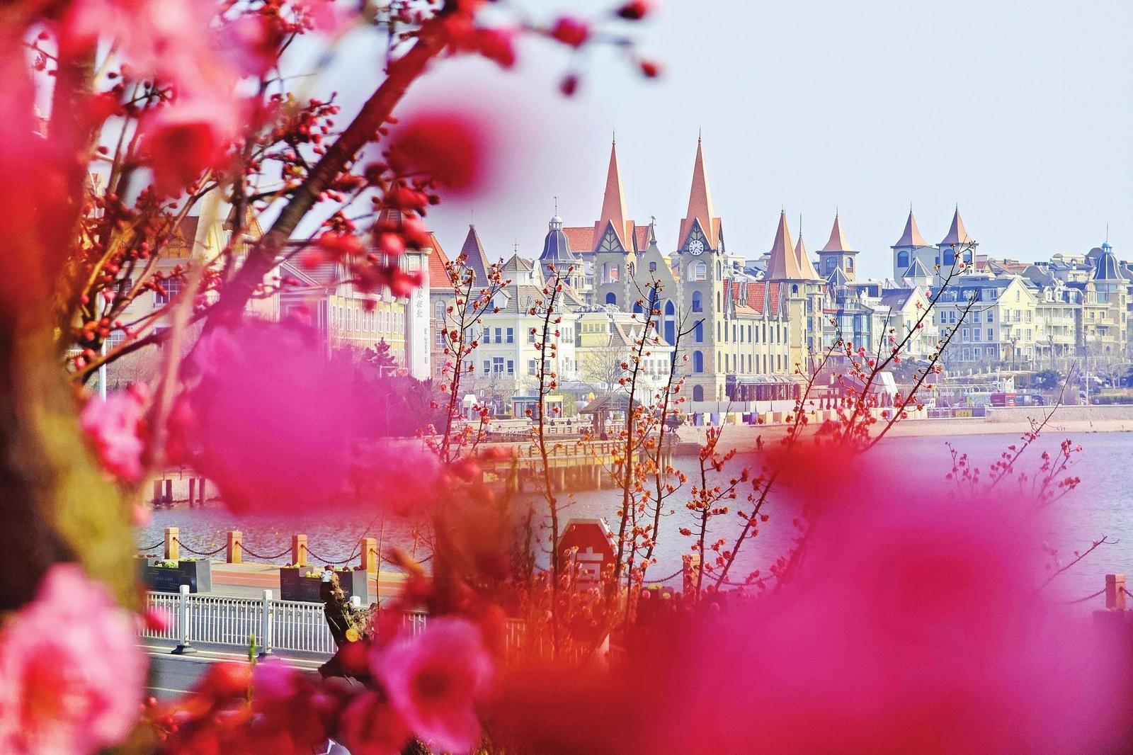 图片新闻|面朝大海 春暖花开