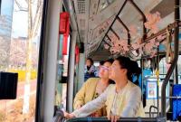 开往春天的公交发车了！烟台上线三条赏花专线