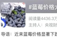 连续冲上热搜！“贵族水果”价格大跳水
