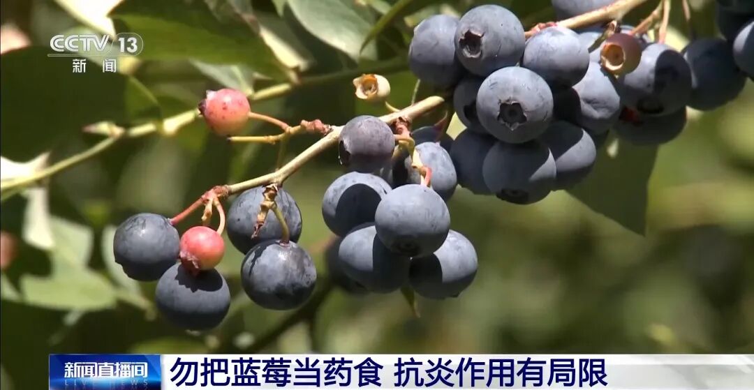 连吃两天确诊胃石症，这种浆果别贪多