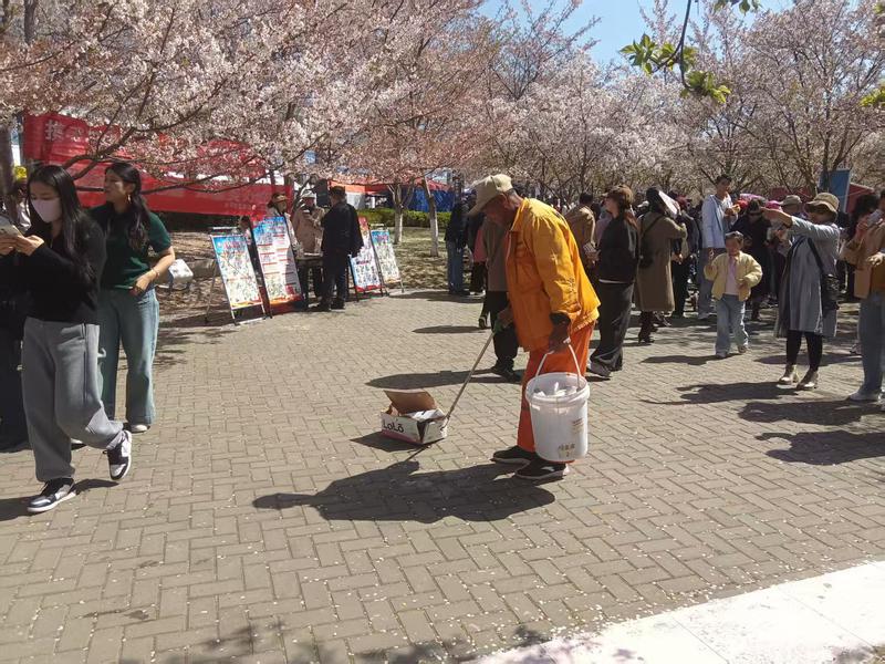 烟台赏花露营游客多，他们守护海岸“颜值”