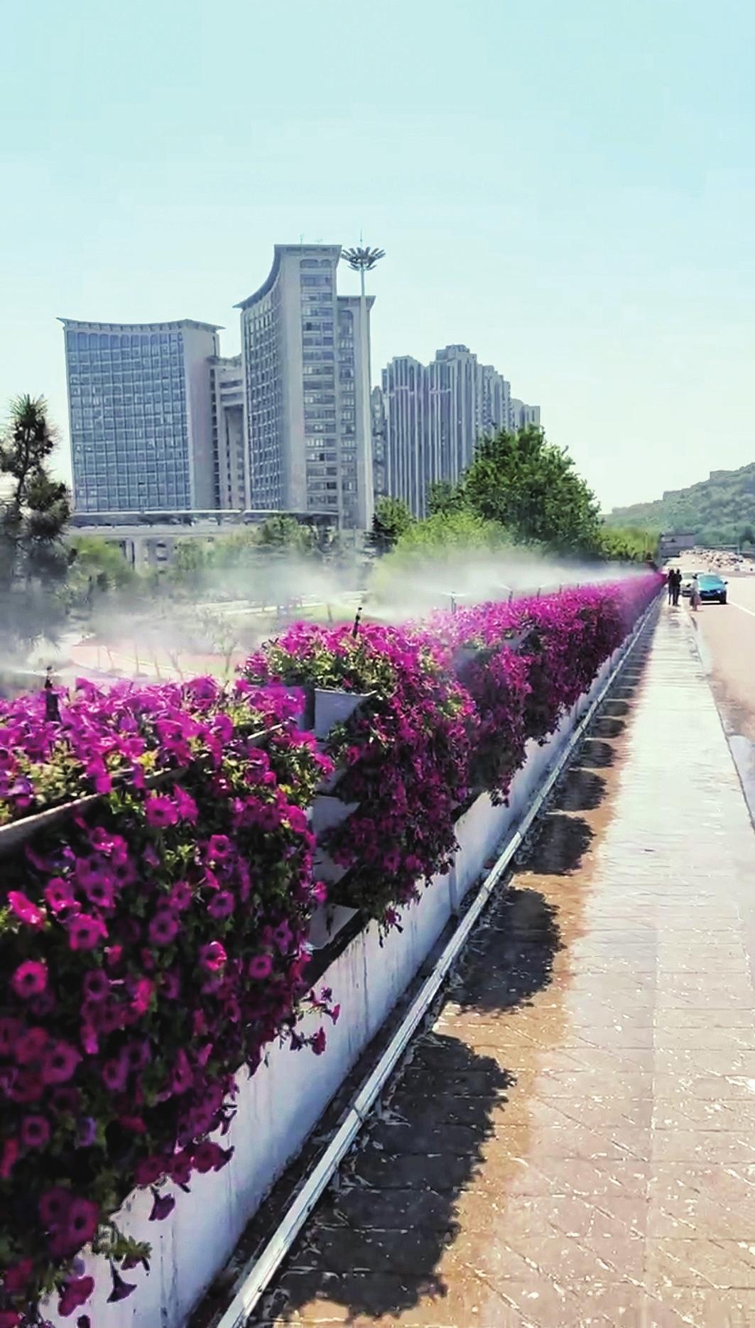 智能喷灌系统在我市开始应用 城市绿地“喝水”更智慧