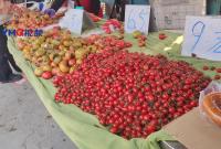 西红柿大量上市，唤醒春季“多巴胺”