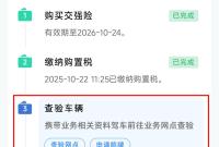 车展购车后必看！足不出户为新车上牌，超详细操作指南→