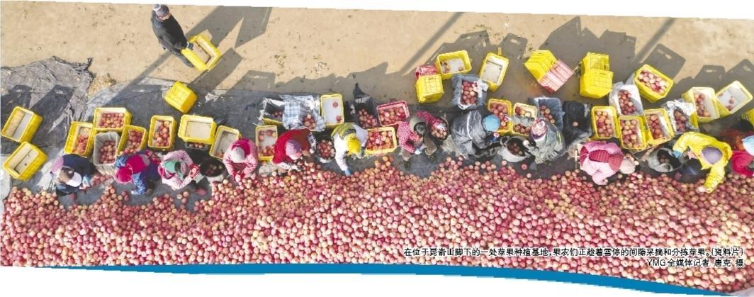 烟台力争5年时间推动烟台苹果产业全链条转型升级，产值突破千亿元