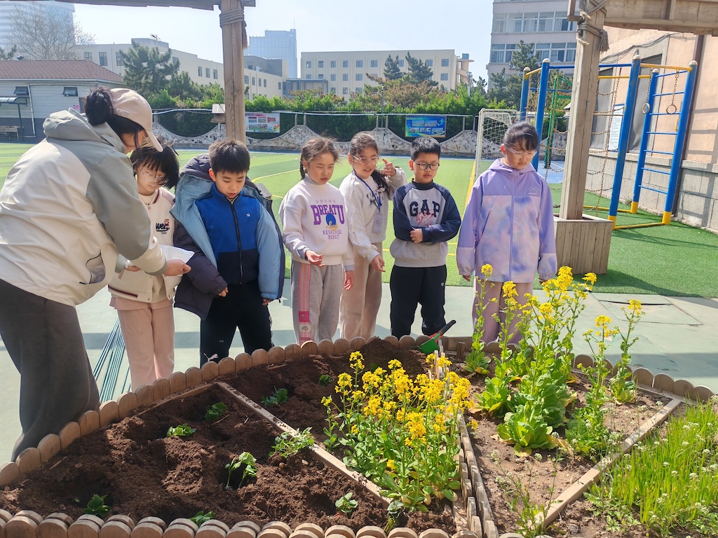 全环境立德树人 | 养正小学开展农场播种主题实践活动