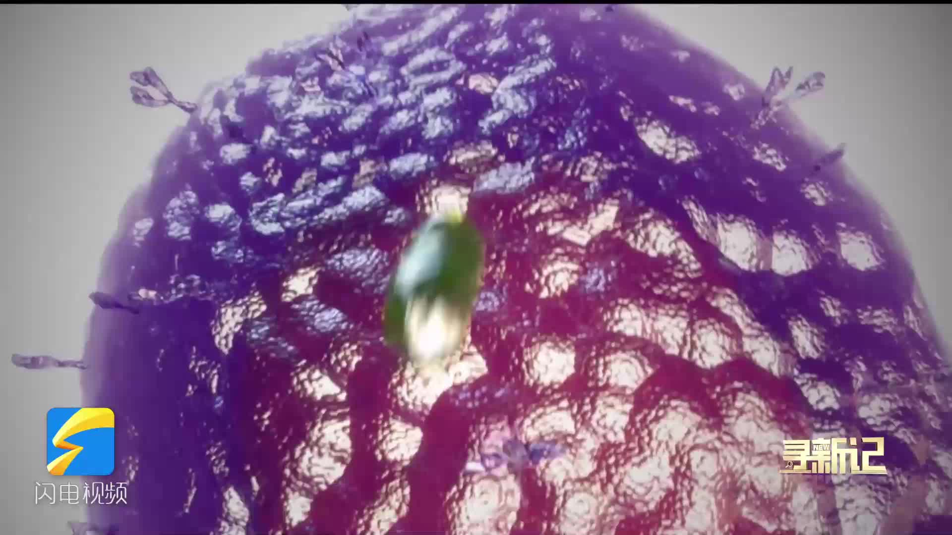 寻新记｜济南“细胞工厂”提速细胞药上市