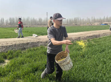 方言反诈进农田！中国人寿为春耕农户织密“金融防护网”