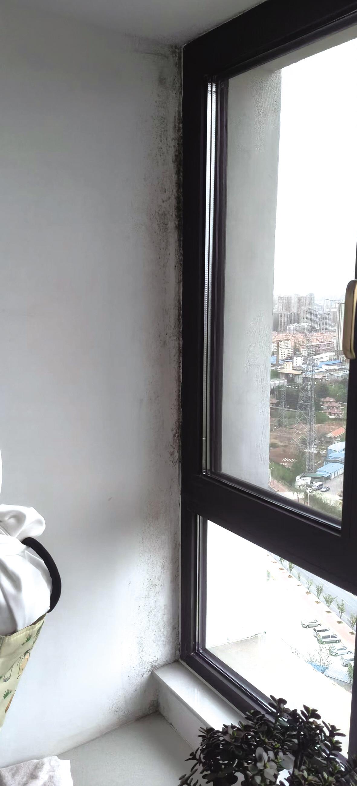 新房入住不到一年外墙渗水 开发商：“五一”假期后尽快维修