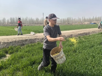 方言反诈进农田！中国人寿为春耕农户织密“金融防护网”