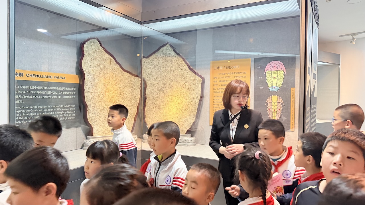 探秘自然奥秘 乐享研学时光——烟台高新区崇文小学烟台自然博物馆研学之旅