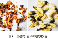 维C是苹果10倍！现在吃它正合适，但要注意这些禁忌