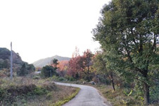 下丁家“初二小班”