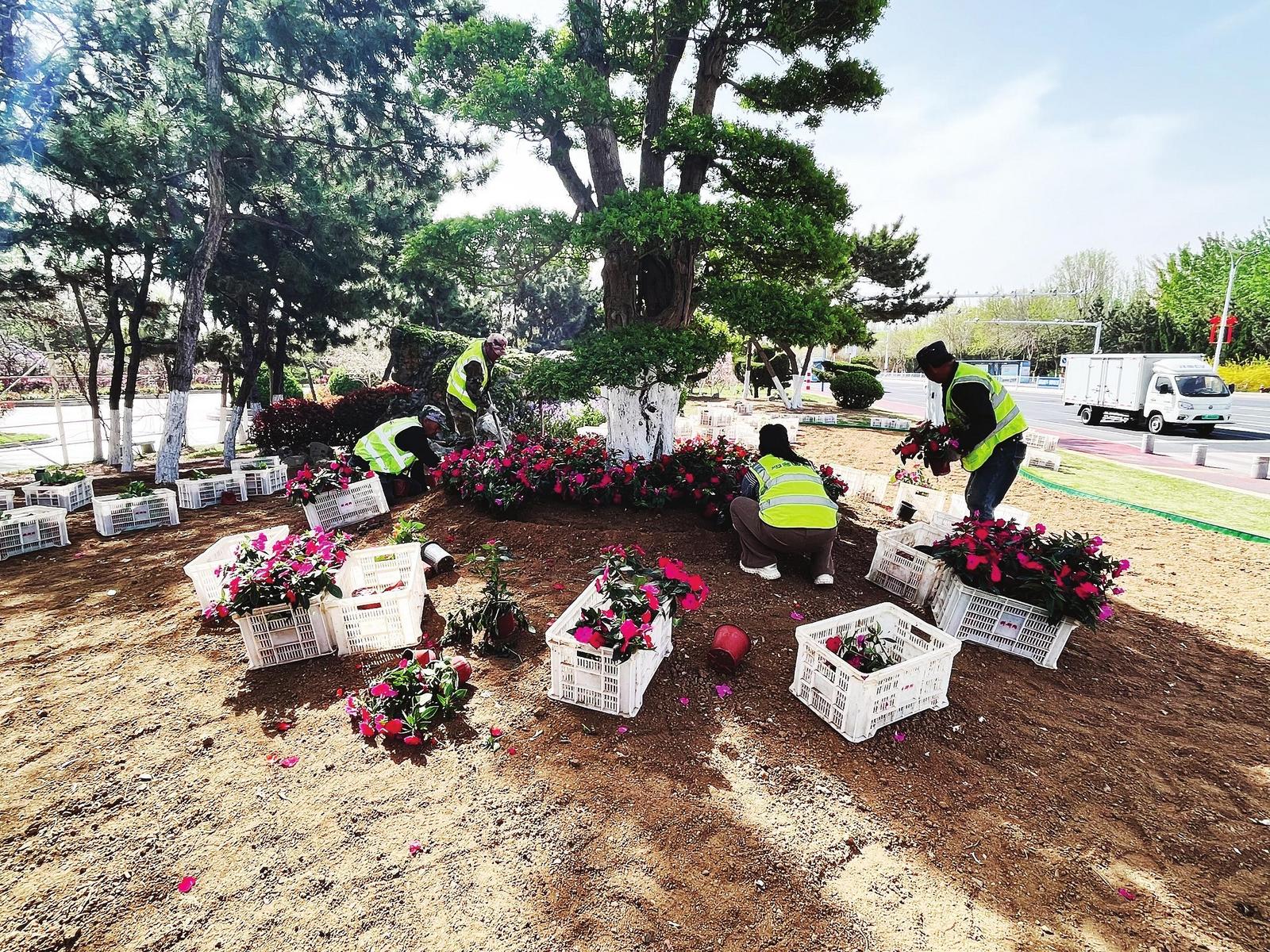 图片新闻|装扮城市迎“五一”