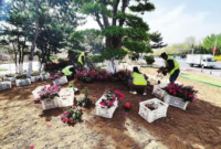 烟台装扮城市迎“五一”