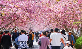 【烟台日报】莱阳市以“四新”活力绘就全域发展新画卷：千年梨乡全域皆景步步如画