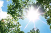 今年真会迎来史上最热夏天？中国气象局回应