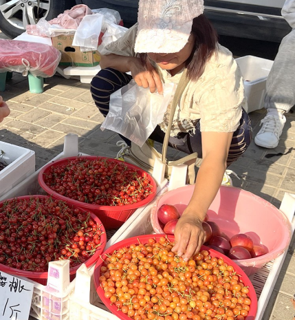 本地凉地小樱桃抢鲜上市 最佳尝鲜期仅剩约一周