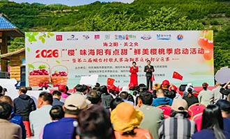 2026“‘樱’味海阳有点甜”鲜美樱桃季系列活动甜蜜启幕